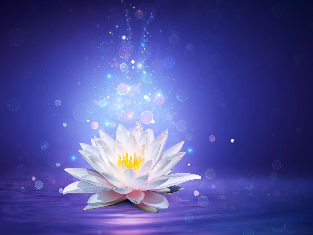 A white lotus flower, sitting upon a purple ripples of water, with sparkles of light falling down onto it. There is a beautiful deep blue/purple background.